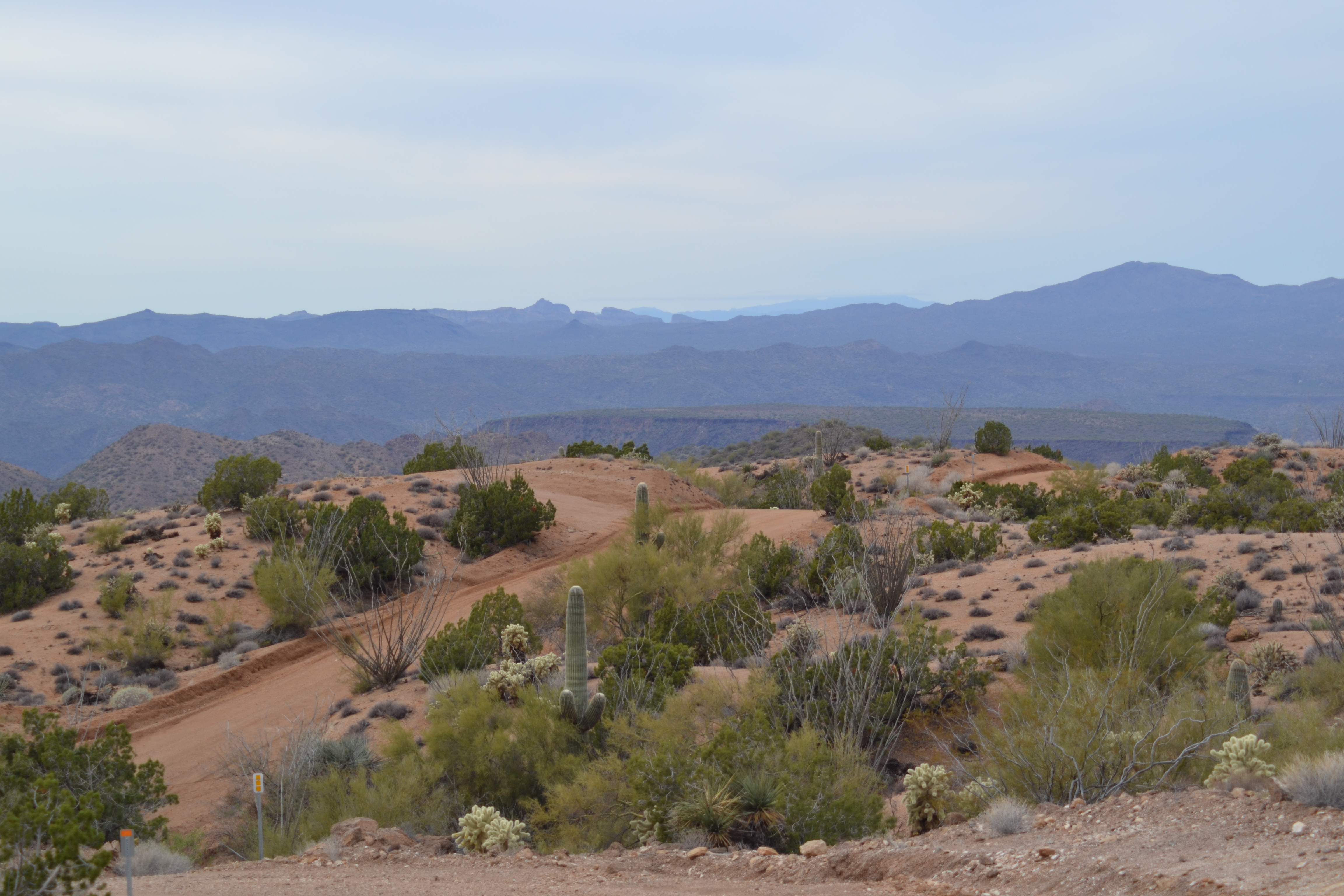 Purple Mountains Majesty