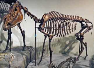 32380095791_7c0825b841_b