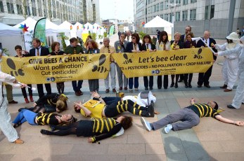 13582713004_bc16133930_b